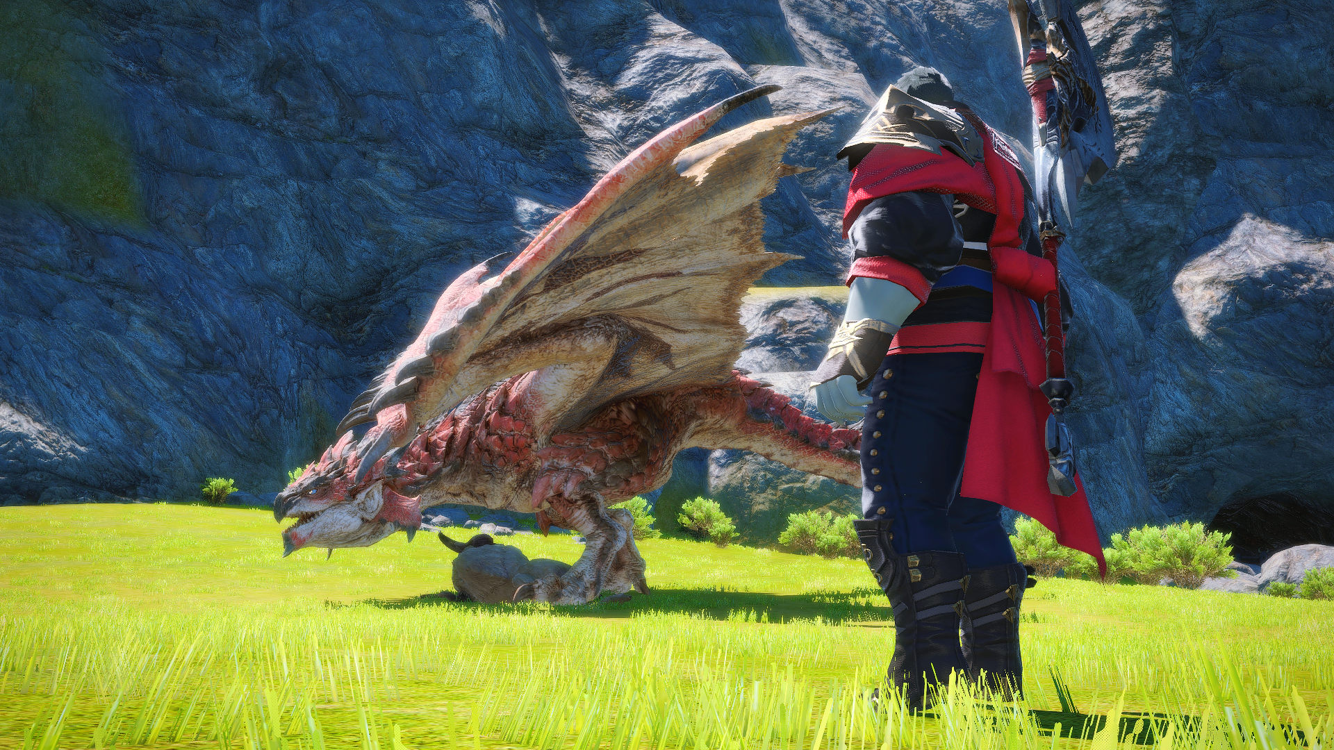 Ahldtrach encountering Rathalos